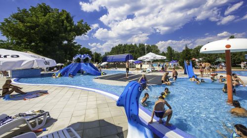 rgoska banjica, rgoste, knjazevac