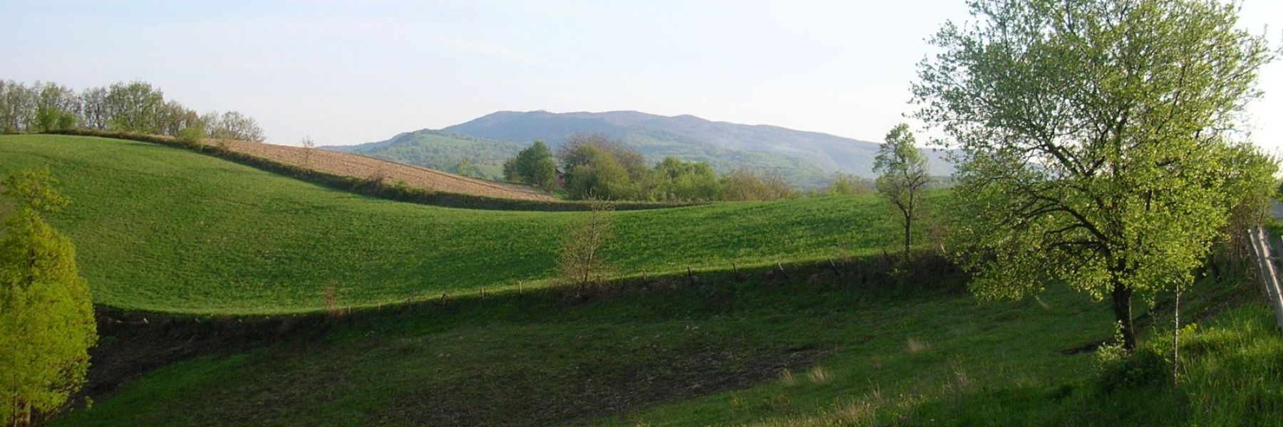 stubej, homoljske planine, kucevo