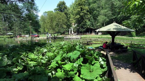 jezerce, ozren, sokobanja
