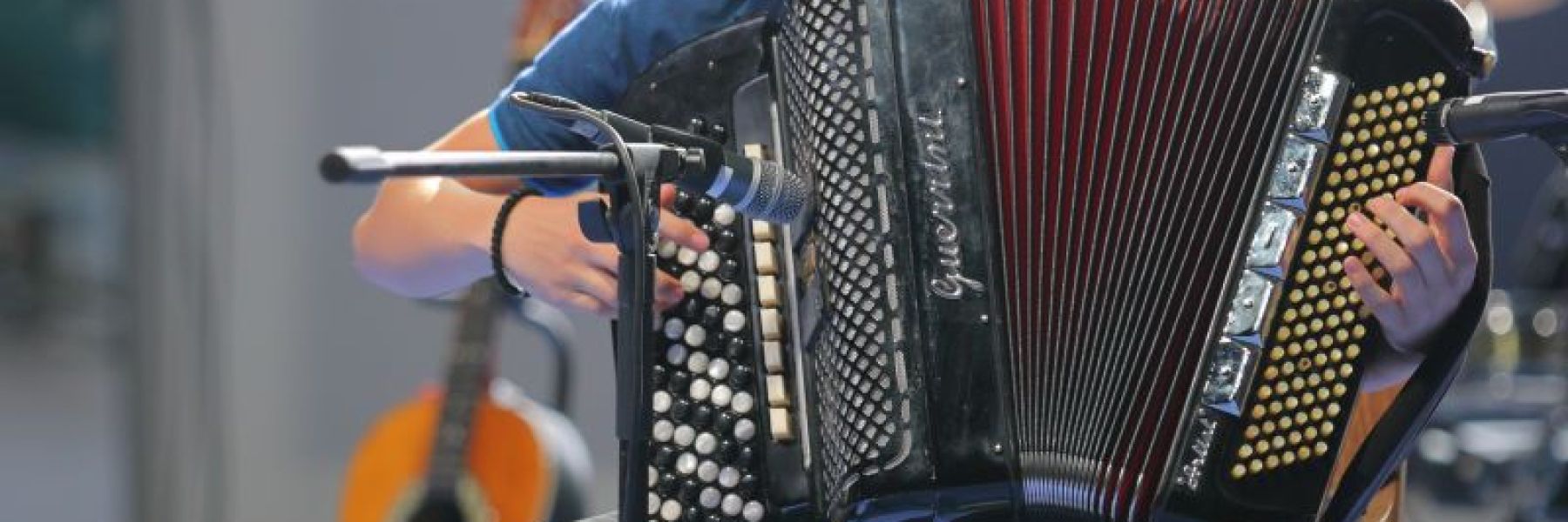 prva harmonika, sokobanja