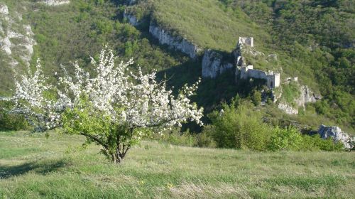 sokograd, sokobanja