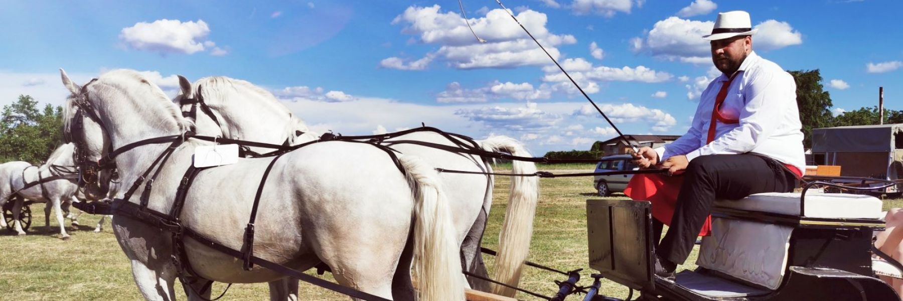 sremska potkovica, fijakerijada, novi karlovci, indjija