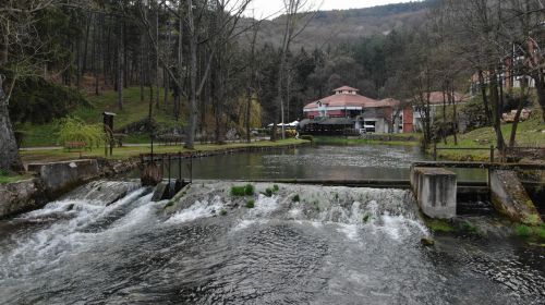 vrelo, mlava, zagubica