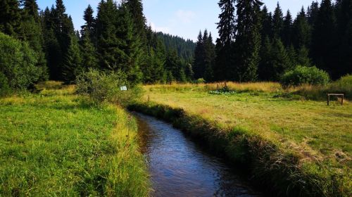izletiste, kadijevac, kopaonik