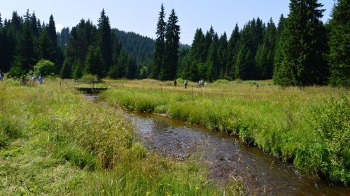 izletiste, kadijevac, kopaonik