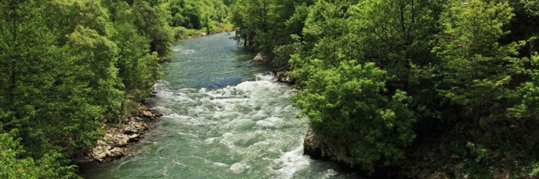 reka lim, prijepolje