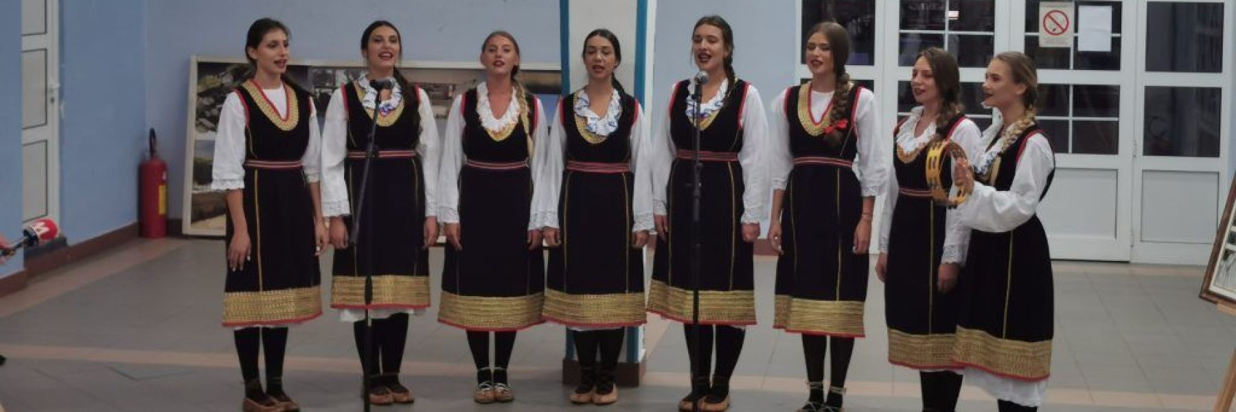 sokolica, zvecan
