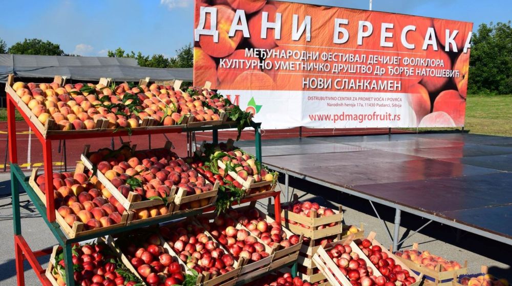 dani bresaka, novi slankamen, indjija