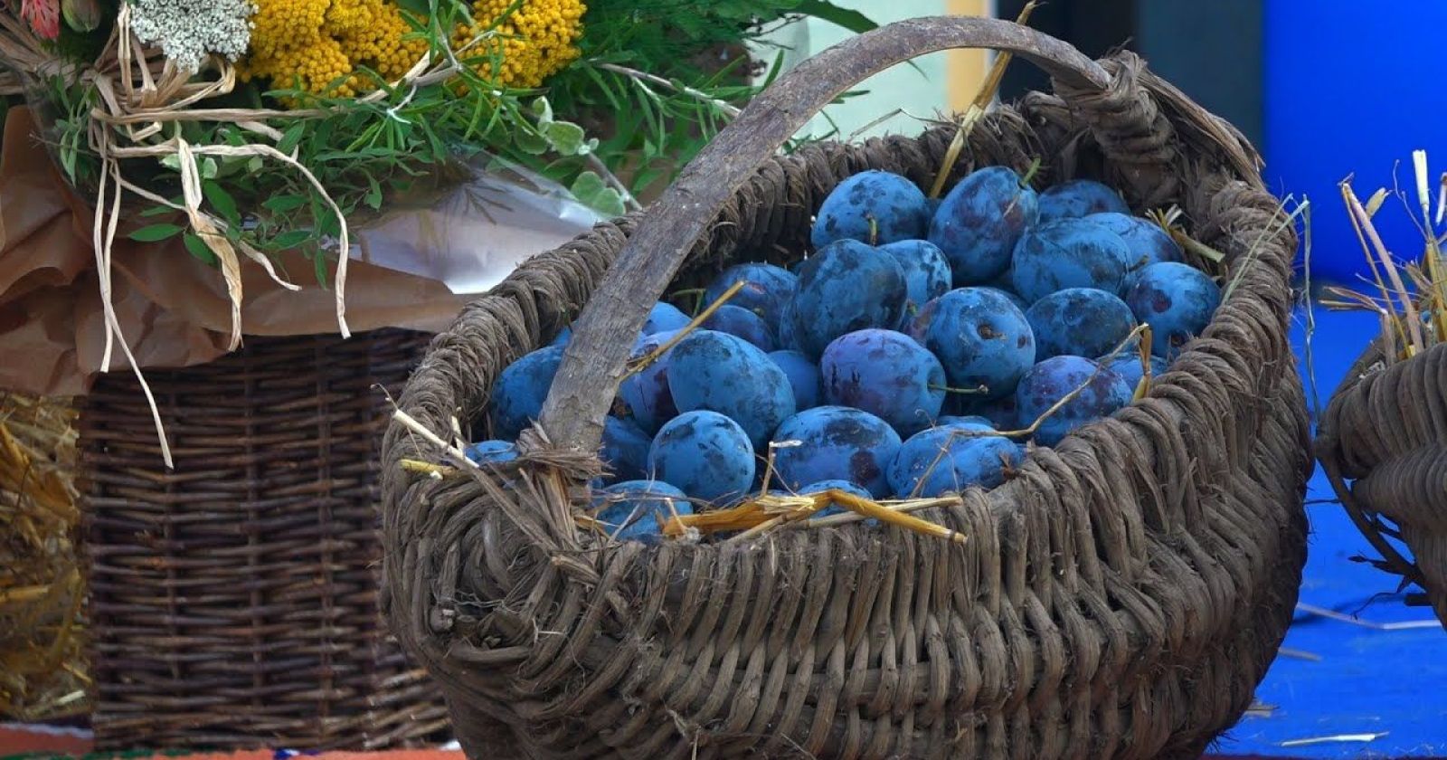 Šumadijski dani šljive - Stragari, Kragujevac