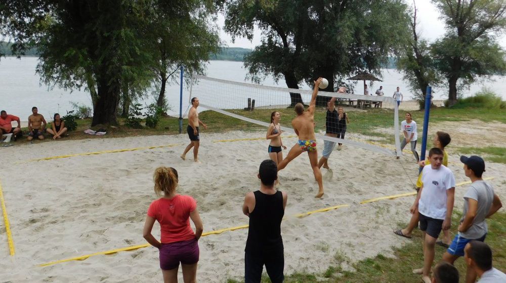 dunavske carolije, cortanovci, indjija