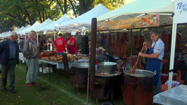 festival duvan cvaraka, valjevo
