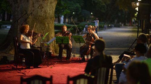 festival knjige, arandjelovac