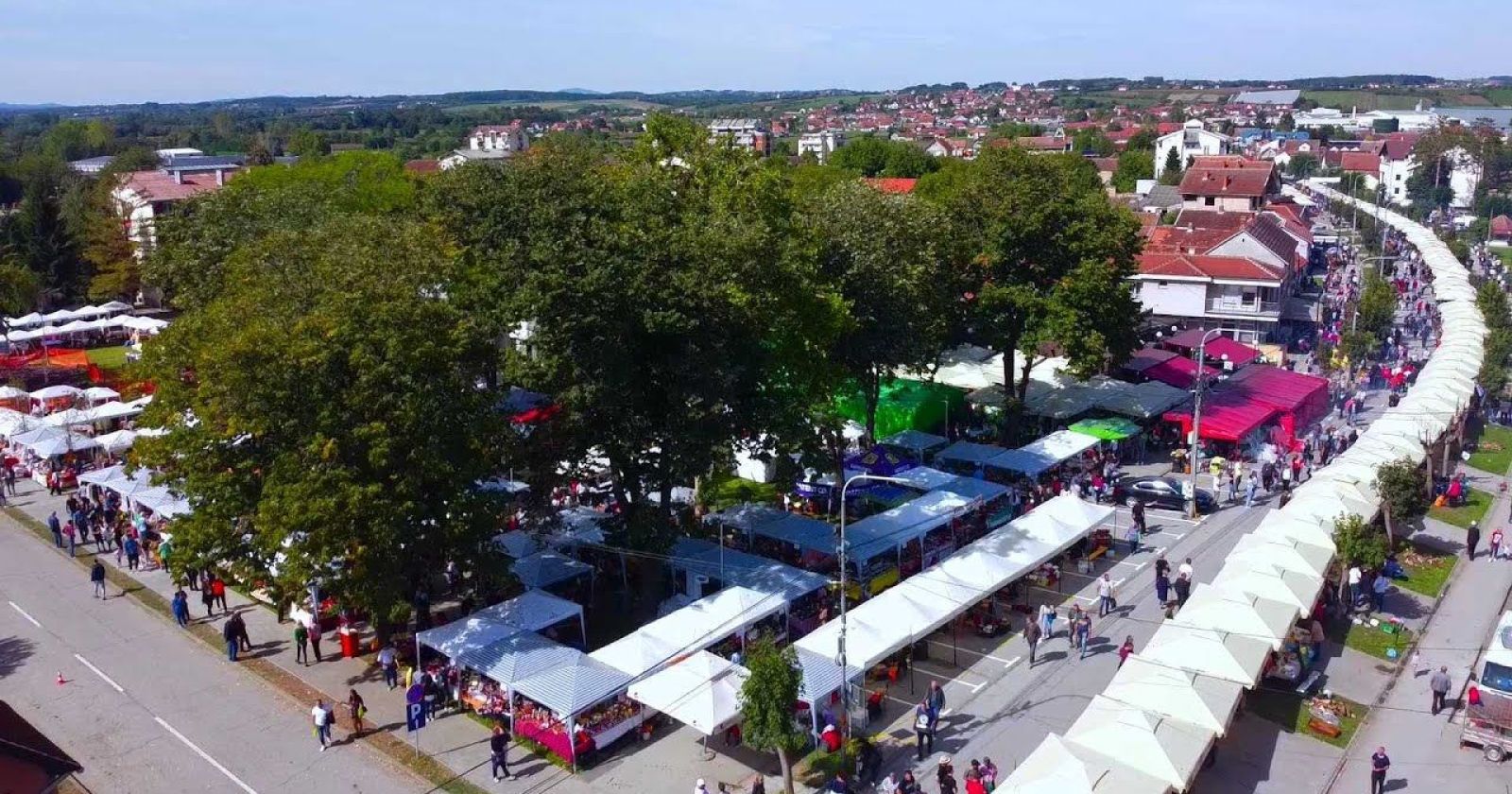 Festival zimnice - Koceljeva 2022