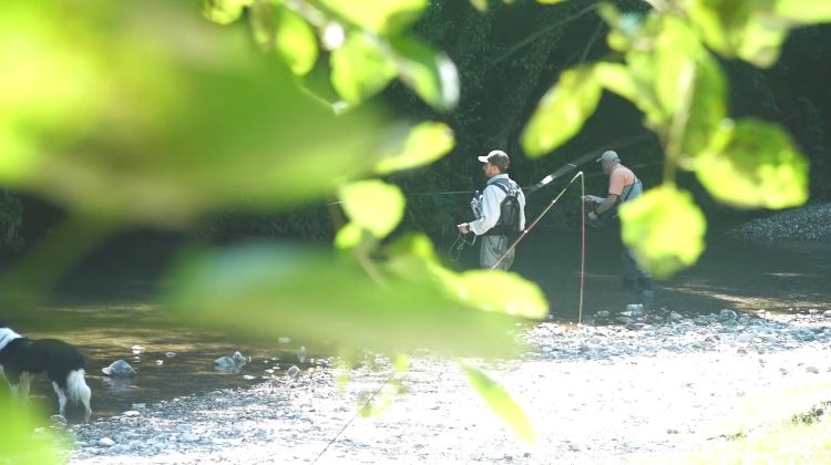 reka, gradac, valjevo