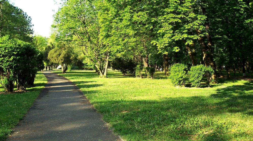 gradski park, bijeljina