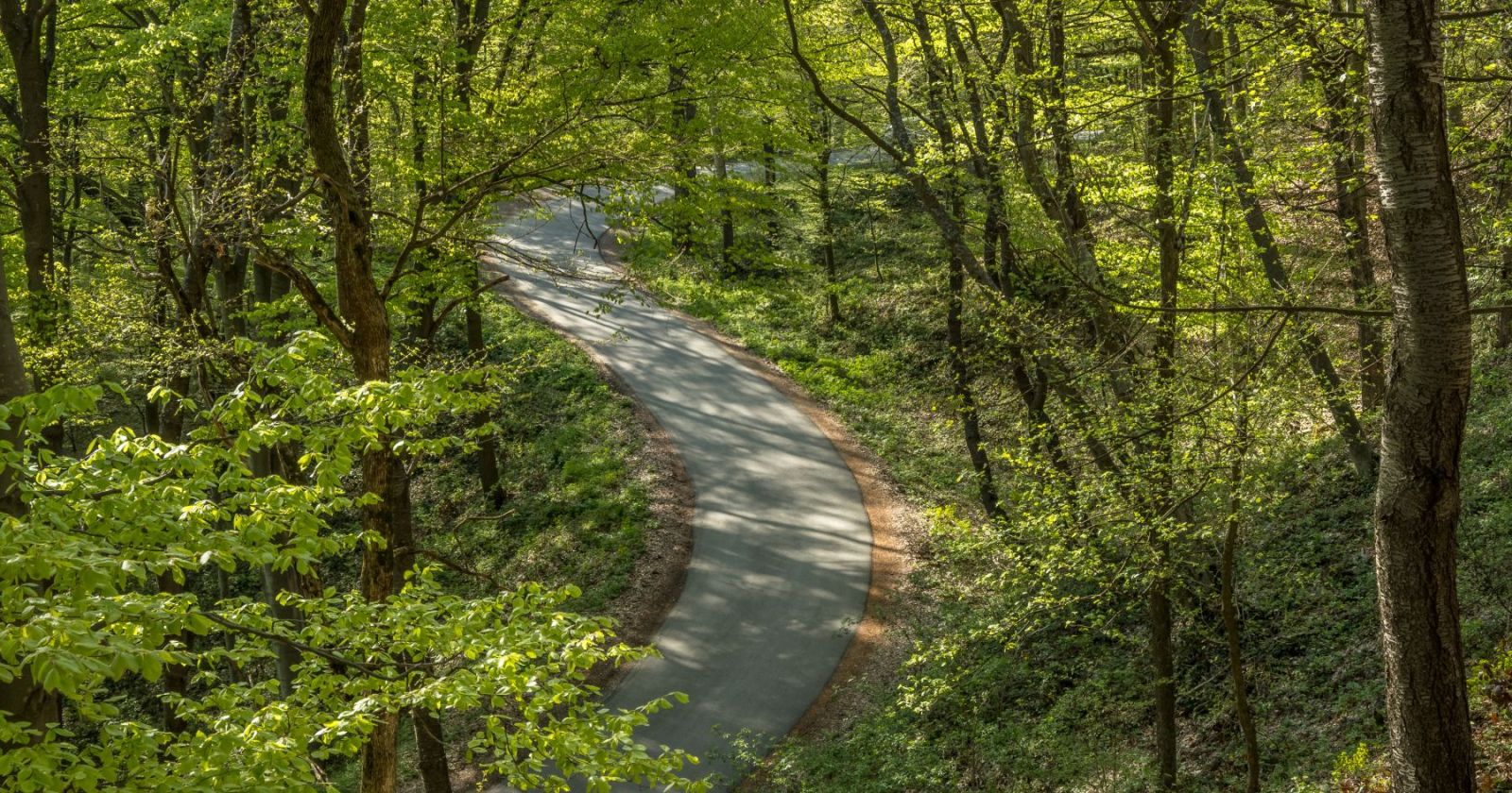 Planina Bukulja - Šta videti u Aranđelovcu - Gde putovati