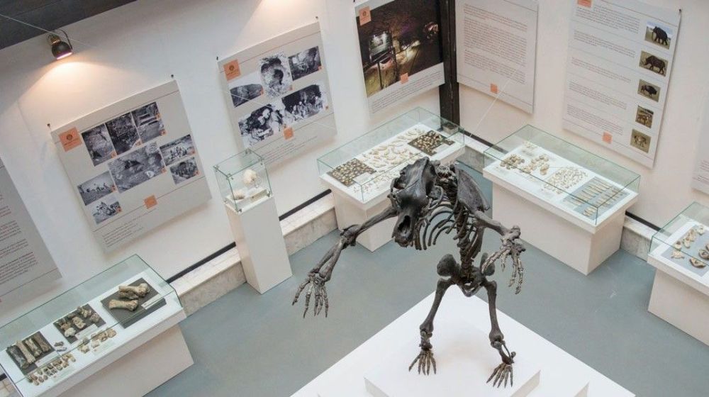 narodni muzej, arandjelovac, stalna postavka, milenijumi, paleontoloska zbirka