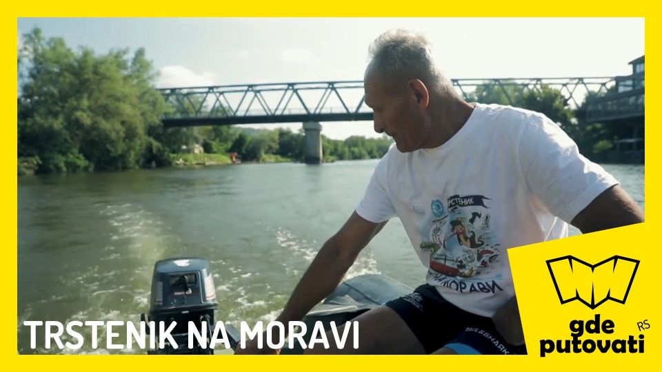 trstenik zapadna morava