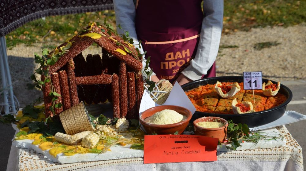dan proje, bela palanka