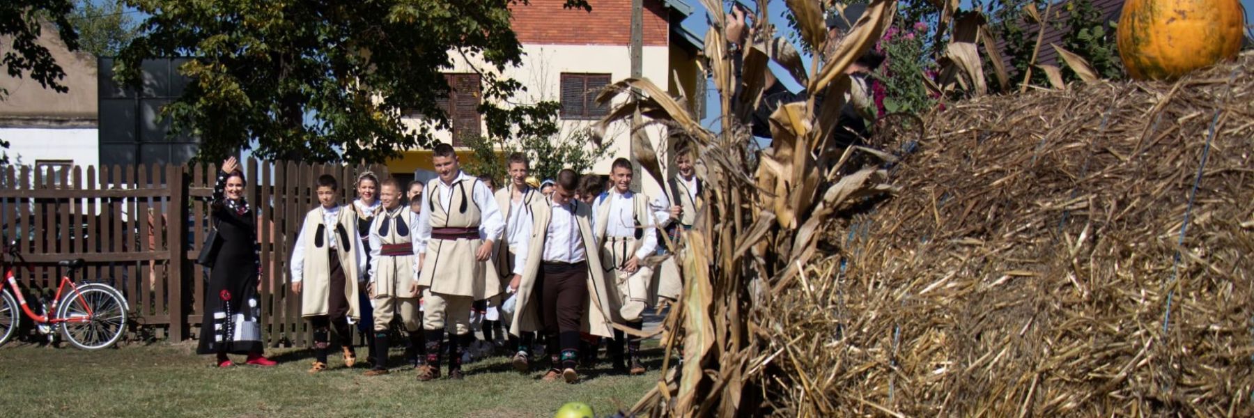 kurzovina fest, pecinci
