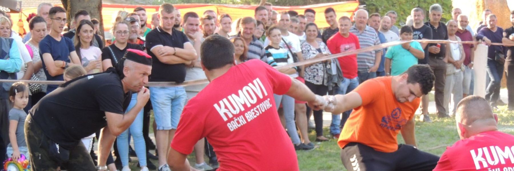 licki viseboj, backi brestovac, odzaci