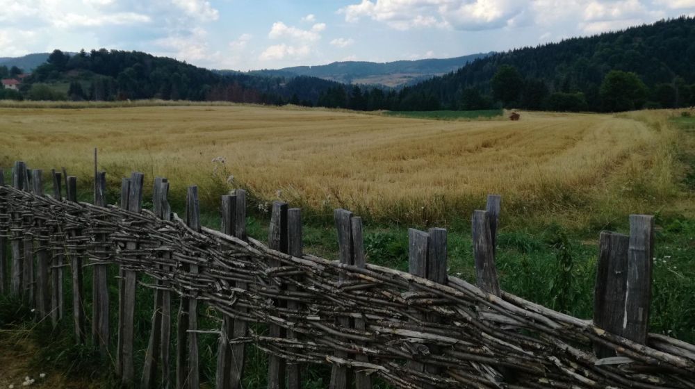 rudno, kraljevo