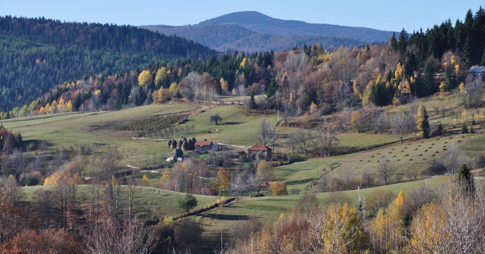 Rudno