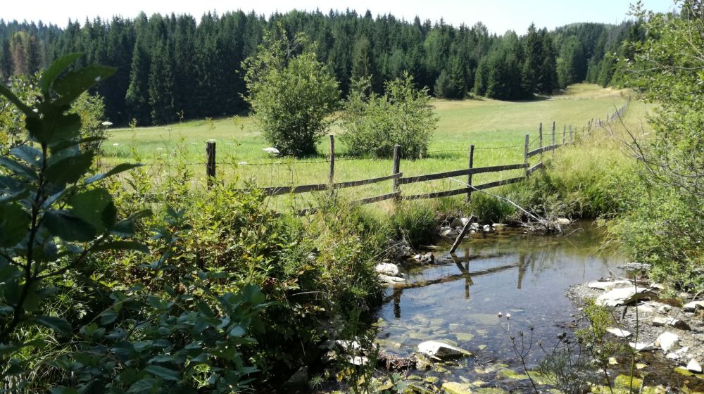 rudno, kraljevo