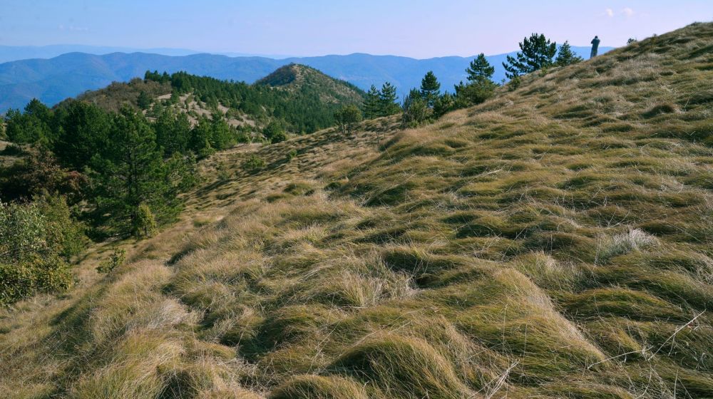 planina stolovi, kraljevo