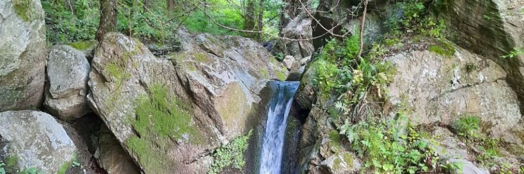 carobna dolina, vlasotince