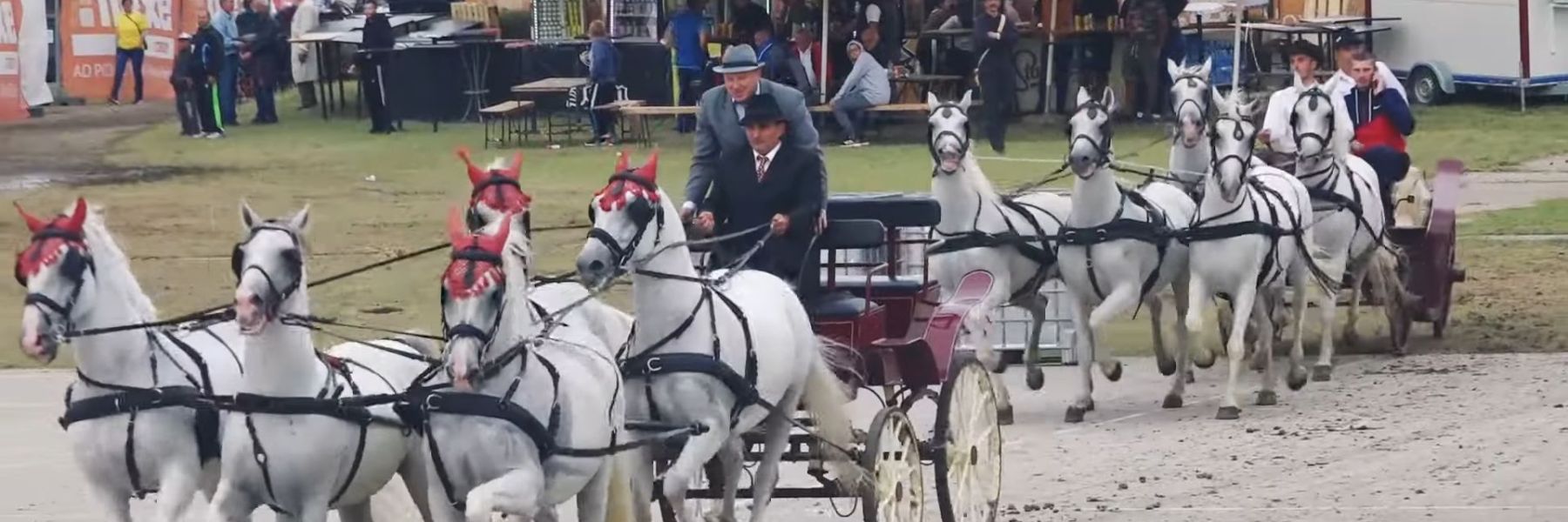 velikogospojinski dani, novi becej