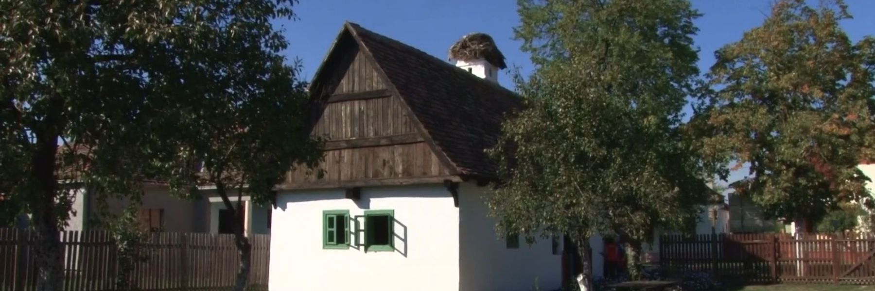 aksentijev kucerak, ogar, pecinci