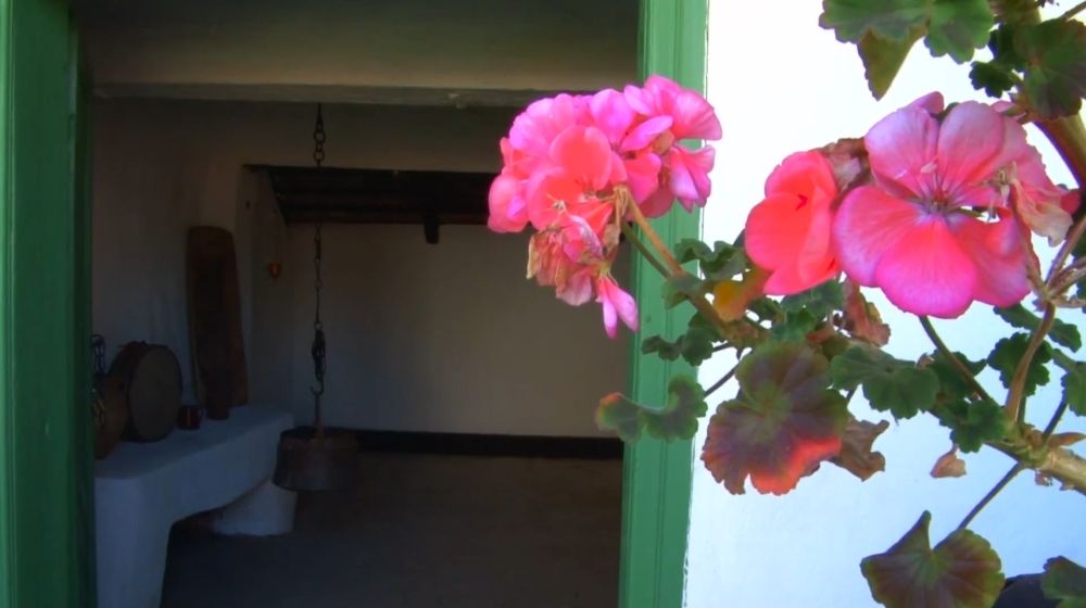 aksentijev kucerak, ogar, pecinci