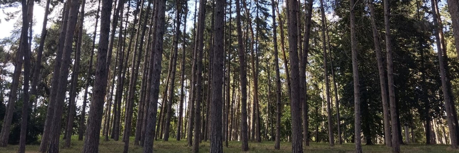 letnjikovac, park, sabac