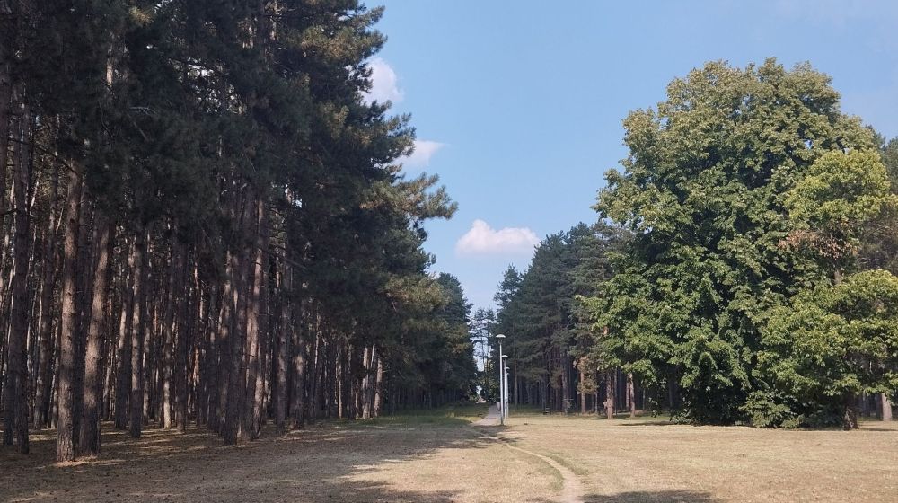 letnjikovac, park, sabac