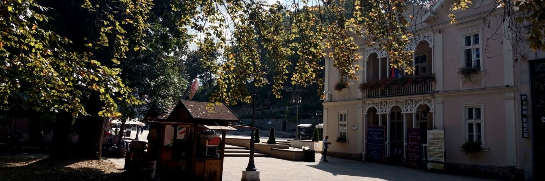 biblioteka, dr dusan radic, vrnjacka banja