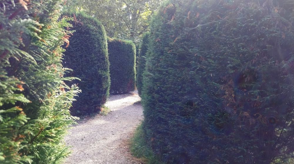 lavirint, vrnjacka banja