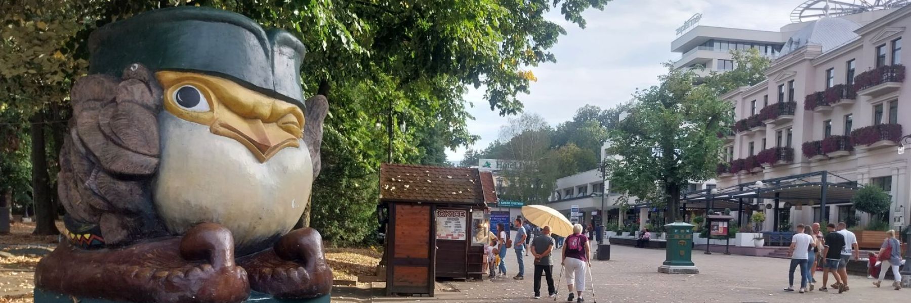 vrabac gocko, vrnjacka banja