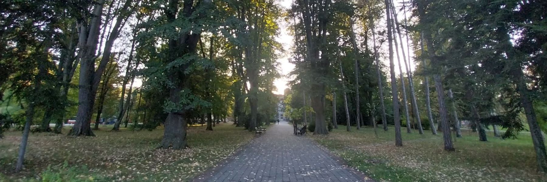 banjski park, banja koviljaca