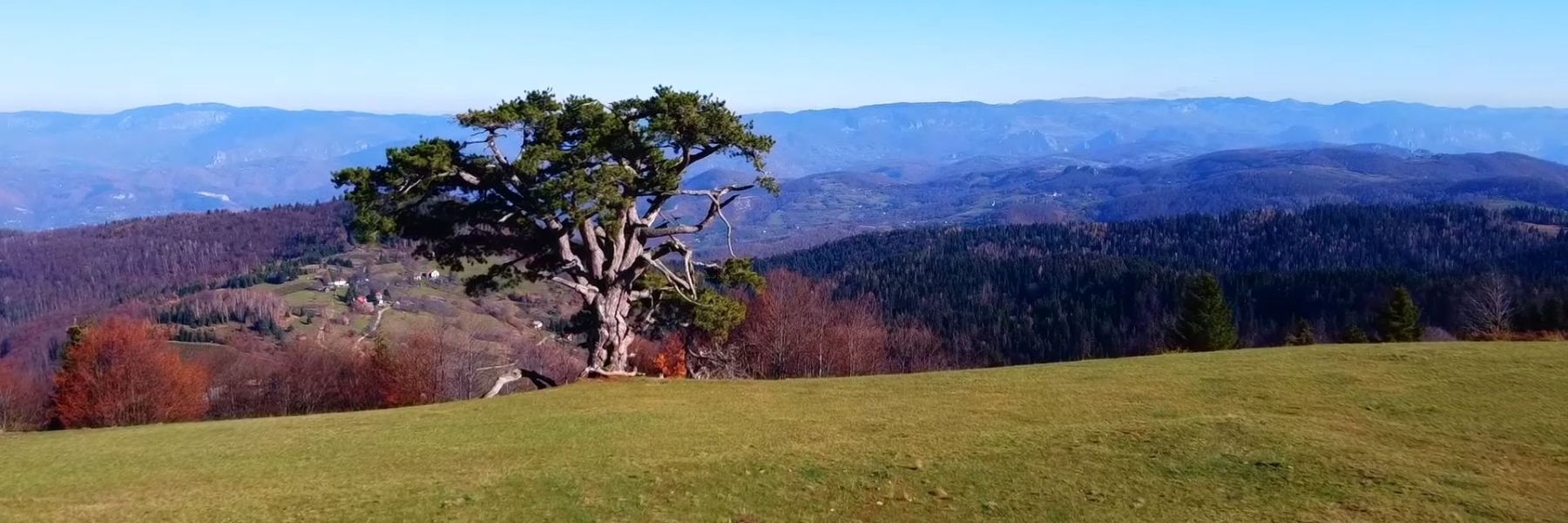 kamena gora, prijepolje