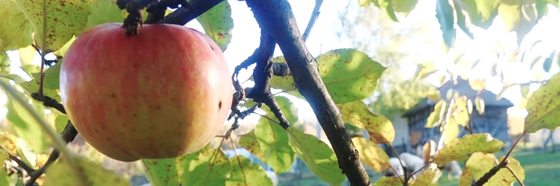 povlen, planina, valjevo