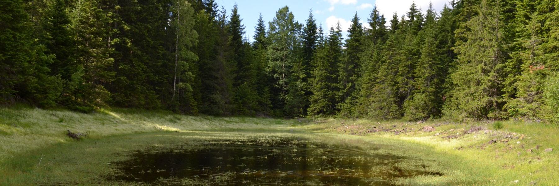 kosaninova jezera, ivanjica