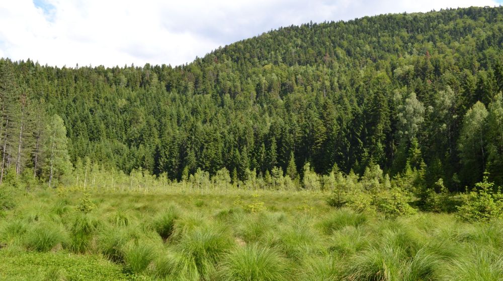 kosaninova jezera, ivanjica