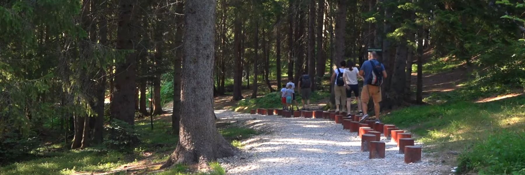 pesacke staze, zlatar