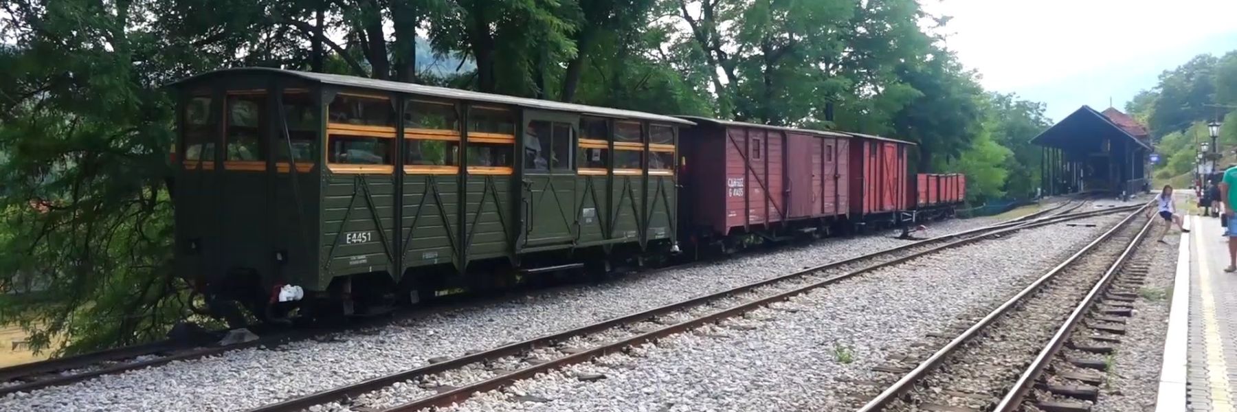 sarganska osmica, mokra gora