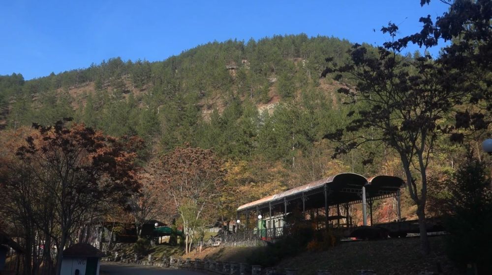 sarganska osmica, mokra gora