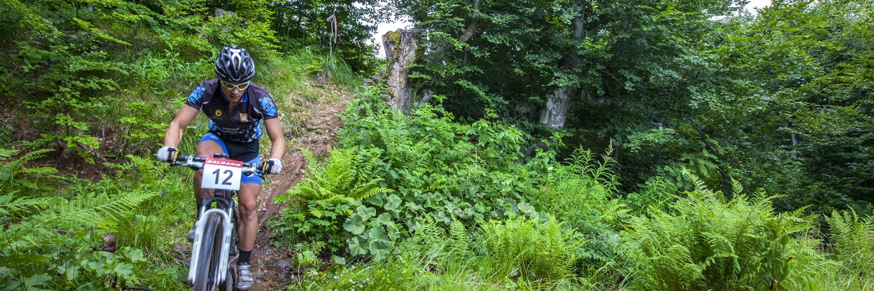 stara planina, knjazevac