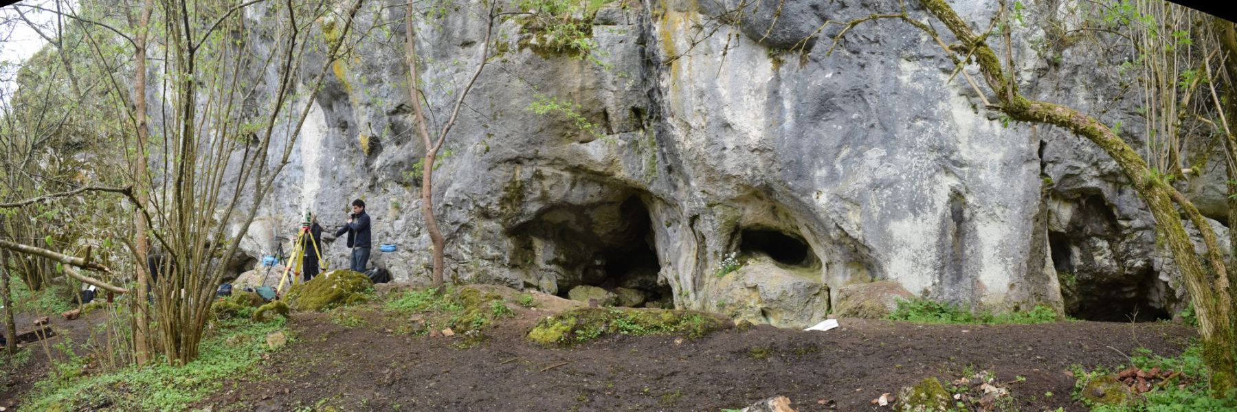 pecina pod lipom, sokolac