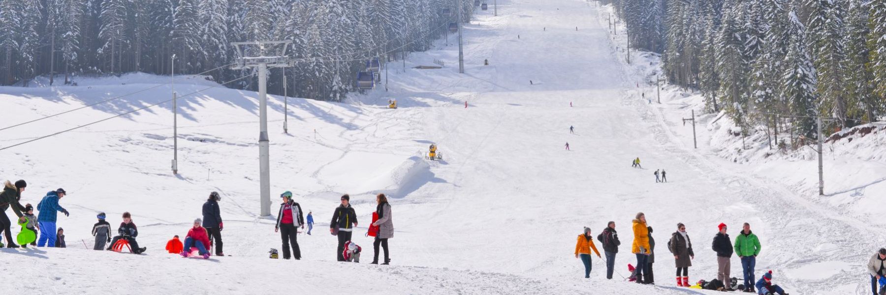 ski centar, ravna planina