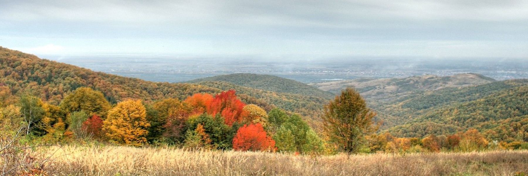 izletiste brankovac, fruska gora